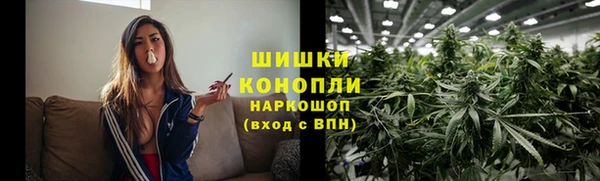 хмурый Богородицк