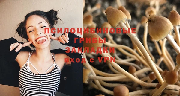 хмурый Богородицк