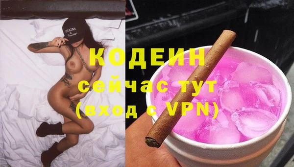 хмурый Богородицк