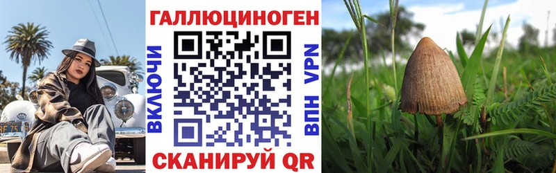 где купить   Пенза  kraken ТОР  Галлюциногенные грибы мицелий 
